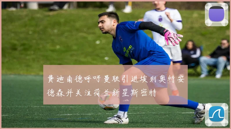 费迪南德呼吁曼联引进埃利奥特安德森并关注荷兰新星斯密特